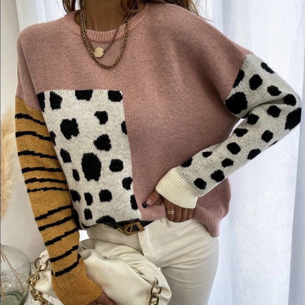 Leopard print stripes color block Sweater - Picture 5 of 6
